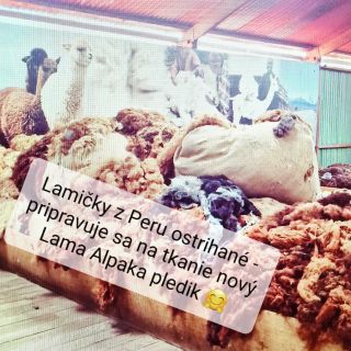 Posledná utkaná zásielka bude budúci týždeň, do Vianoc už viac nestihneme - kto ešte nemá svoju doma - poponahľaj sa...